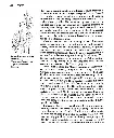 page-4.webp