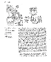 page-6.webp
