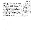 page-9.webp