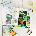 Zoology-1-Flying-Creatures-2nd-Edition-Textbook-Lesson-7.webp
