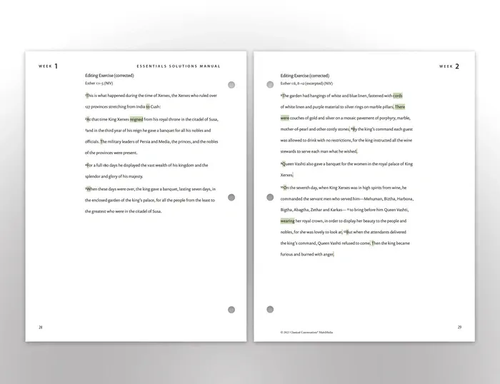 EditingEx-EC5-Sol.webp