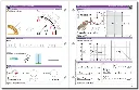 DIGITS9-10SPREAD-4th.webp