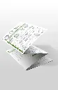 EC5-Verbs-and-main.webp