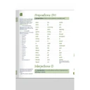 Panel6Nouns-Mods.webp
