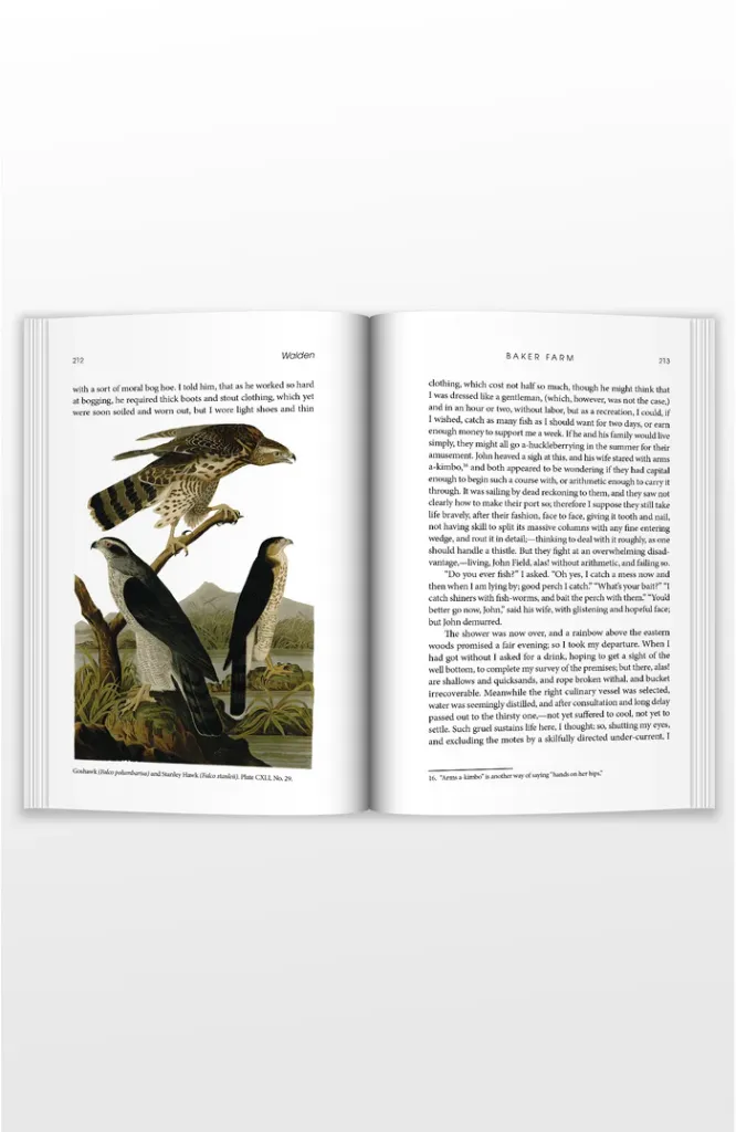 middle-of-book3-Walden.webp