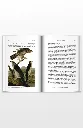 middle-of-book3-Walden.webp