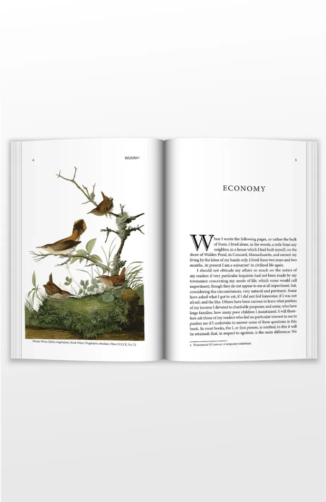 middle-of-book-Walden.webp