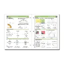 The-Math-Map-Fractions-3.webp