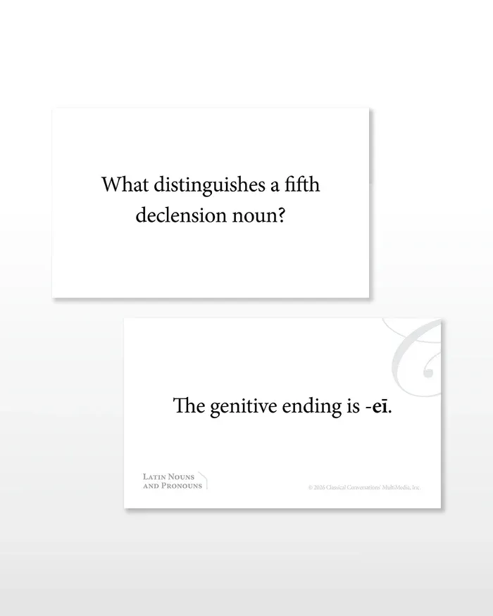 FS120-Latin-Nounsan-dPronouns-Flashcards-BookstoreImage-3.webp