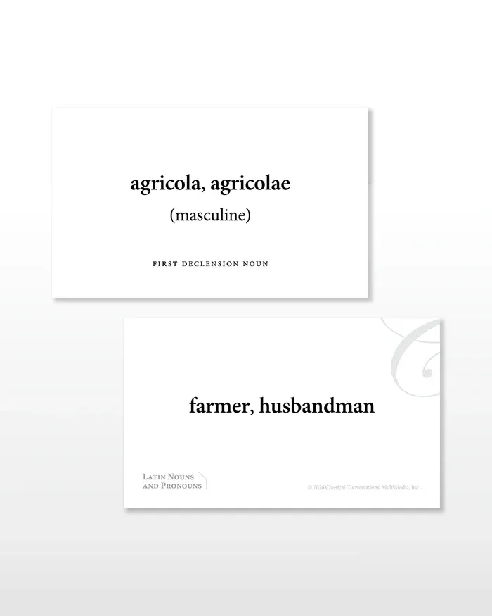 FS120-Latin-Nouns-and-Pronouns-Flashcards-Book-store-Image.webp