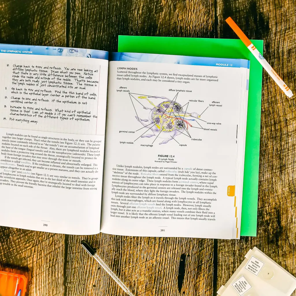 Advanced-Biology-Textbook-Module-12.webp