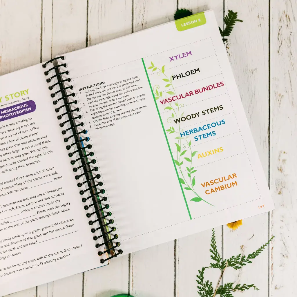 Botany-Regular-Notebooking-Journal-Lesson-8.webp
