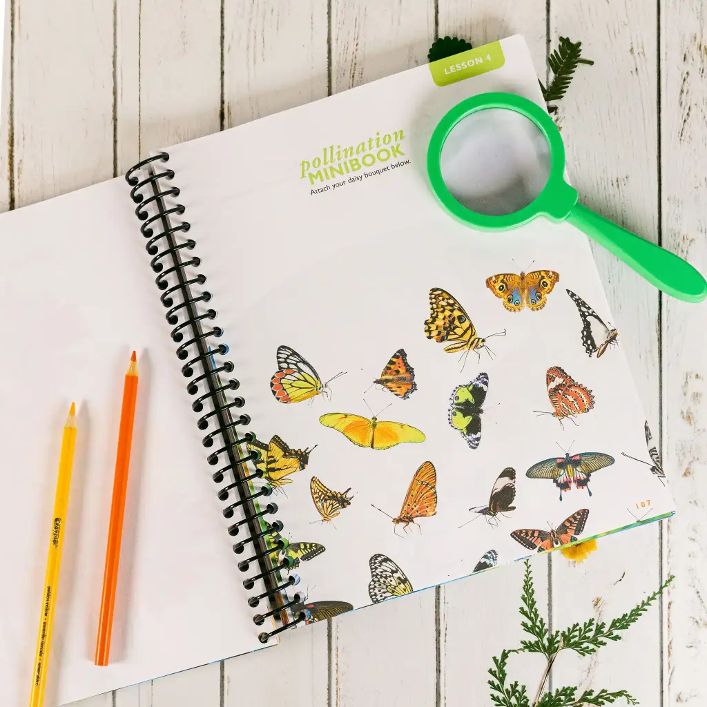 Botany-Regular-Notebooking-Journal-Lesson-4-1.webp