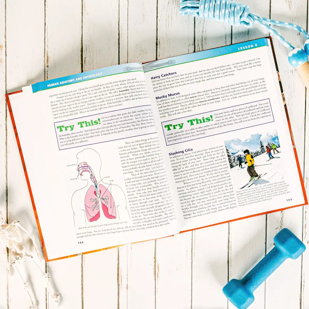 Anatomy-Physiology-Textbook-Lesson-6.webp