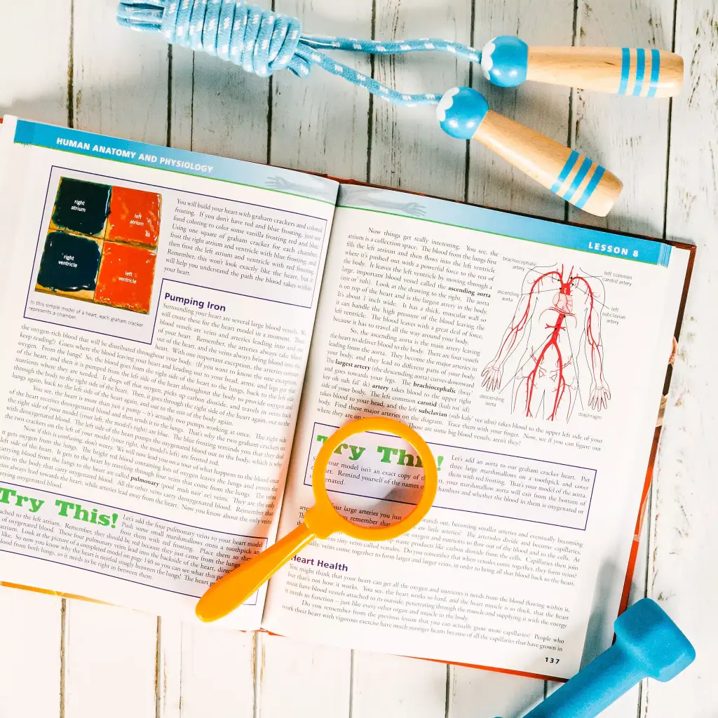 Anatomy-Physiology-Textbook-Lesson-8.webp
