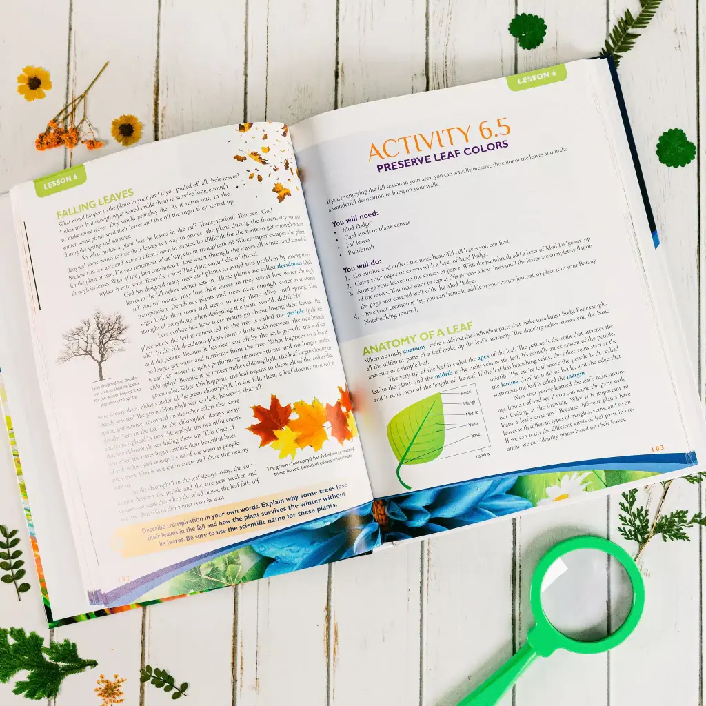 Botany-Textbook-Lesson-6-1.webp