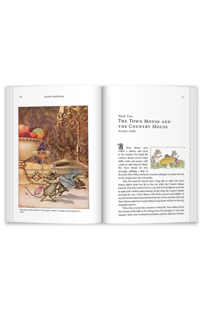 middleofbook-AWE-three.webp
