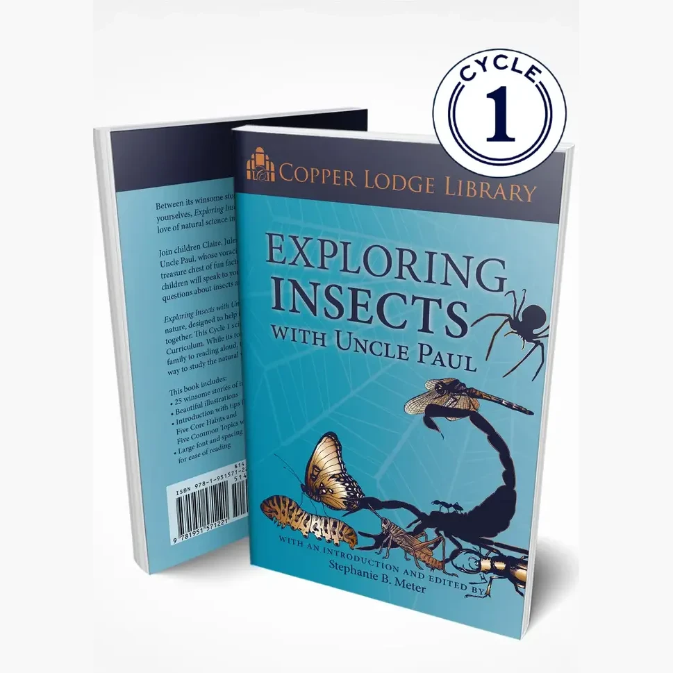 CLLExploringInsects-Cover-Mockup.webp