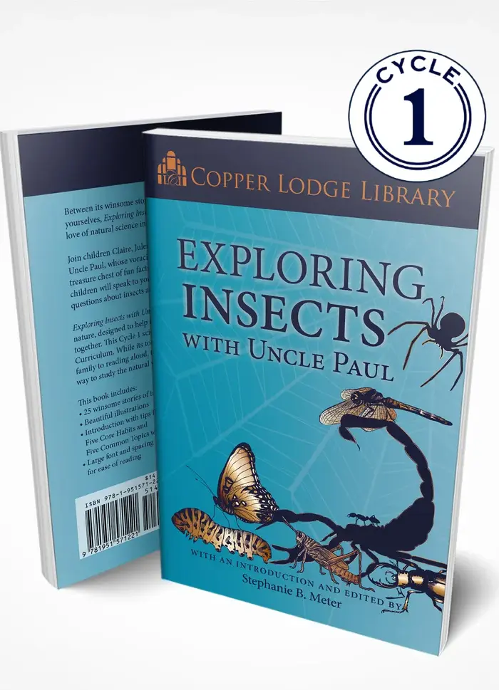 CLLExploringInsects-Cover-Mockup.webp