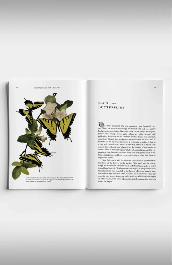 ExploringInsects-InsideMockup-3.webp