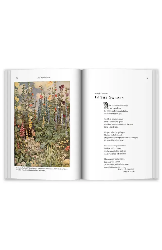 middle-of-bookNWE.webp