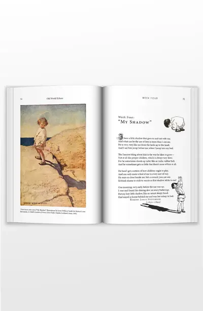 middle-of-book-OWE.webp