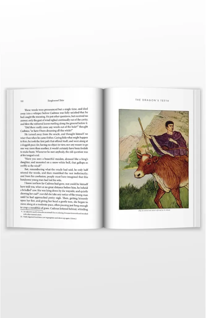 middle-of-book2-TangTales-c.webp