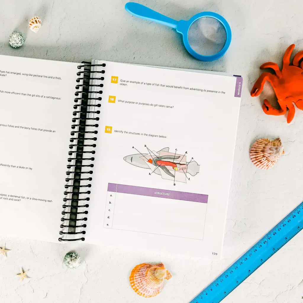 Marine-Biology-Student-Notebook-Module-6.webp